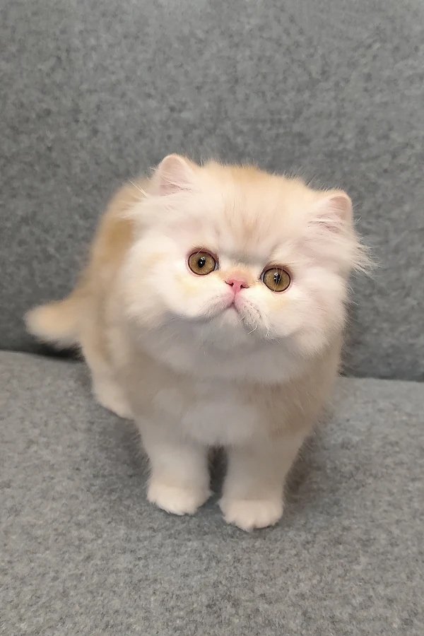 Charles